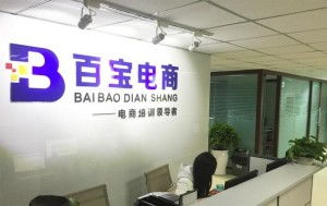 成都百寶教育咨詢 專業(yè)引領(lǐng)，成就未來教育之路